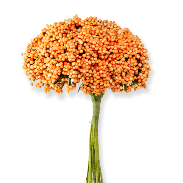 10 Demet (120 Adet) Dökülen Pıtırcık Cipso Çiçek