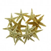 12 Adet 3-4,5cm Doğal Deniz Yıldızı